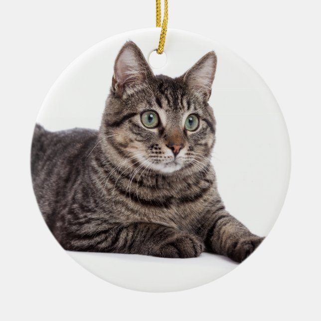 Grey Tabby Cat Ceramic Ornament (Front)