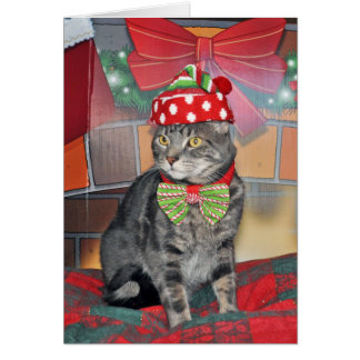 Grey tabby cat Christmas card