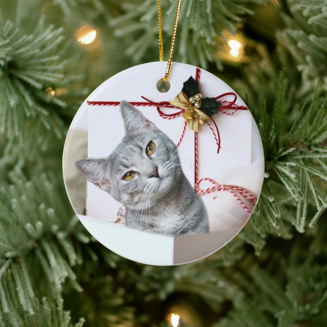Grey Tabby Cat Christmas Ceramic Ornament (Tree)