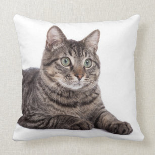 Grey Tabby Cat Cushion