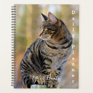 Grey Tabby Cat - Daily Planner- HAMbWG Planner