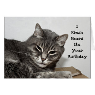 Grey Tabby Cat Funny Birthday