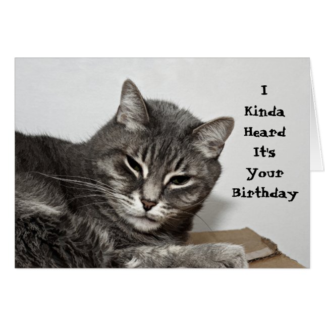 Grey Tabby Cat Funny Birthday (Front Horizontal)