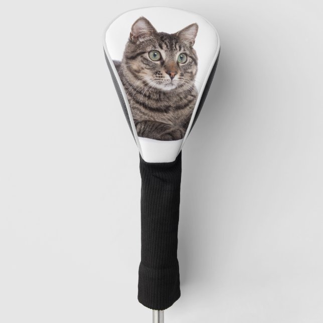 Grey Tabby Cat Golf Head Cover (Front)