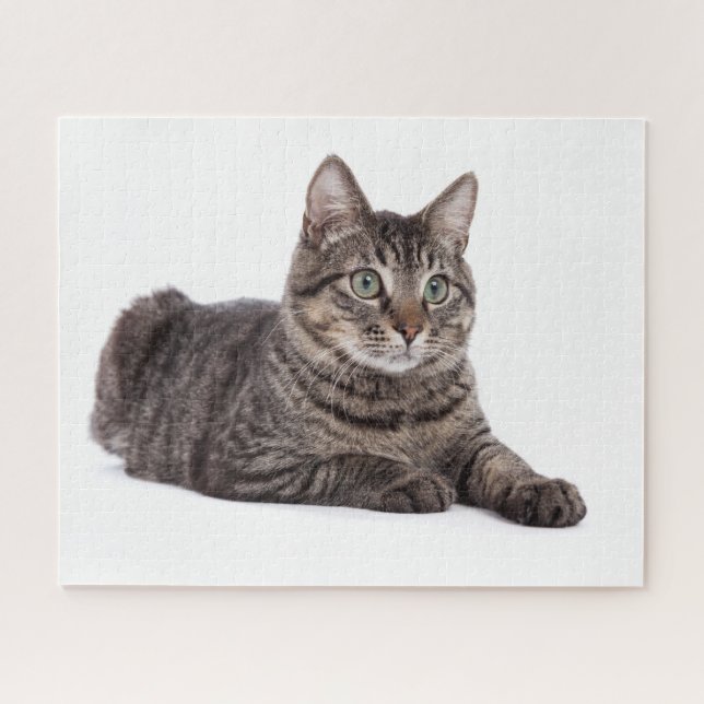 Grey Tabby Cat Jigsaw Puzzle (Horizontal)