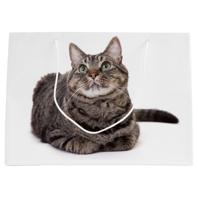 Grey Tabby Cat Large Gift Bag (Front)