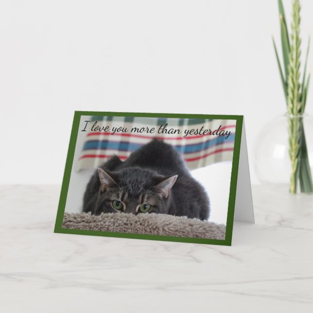 Grey Tabby Cat Loves You Card (Front)