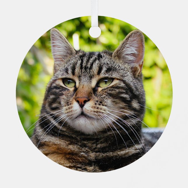 Grey Tabby Cat Metal Ornament (Back)