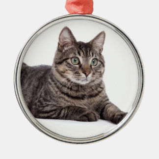 Grey Tabby Cat Metal Ornament