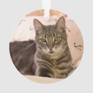 grey tabby cat ornament