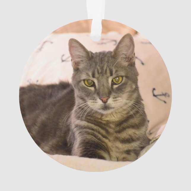 grey tabby cat ornament (Back)