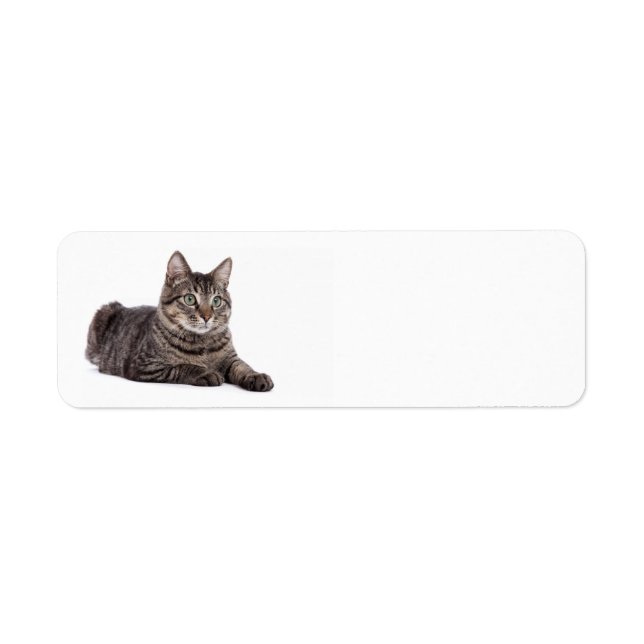 Grey Tabby Cat Return Address Label (Front)