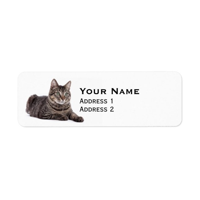 Grey Tabby Cat Return Address Label (Front)