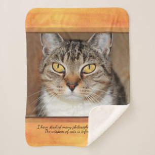 Grey Tabby Cat Sherpa Blanket