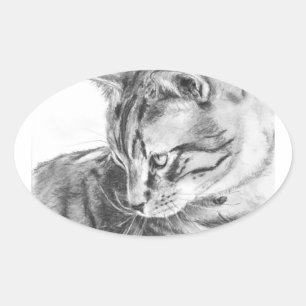 Grey Tabby Cat Sketched in Charcoal Oval Sticker