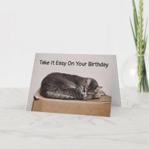 Grey Tabby Cat Sleeping On Box Blank Card