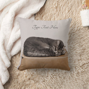 Grey Tabby Cat Sleeping On Box Cushion
