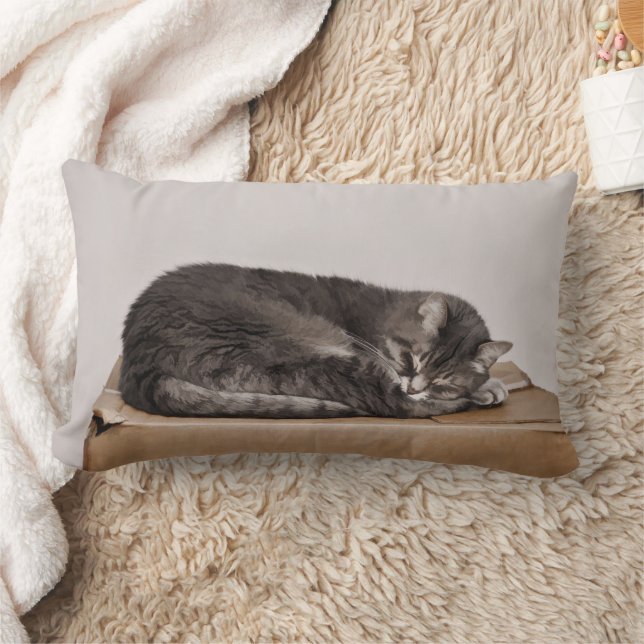Grey Tabby Cat Sleeping On Box Lumbar Cushion (Blanket)