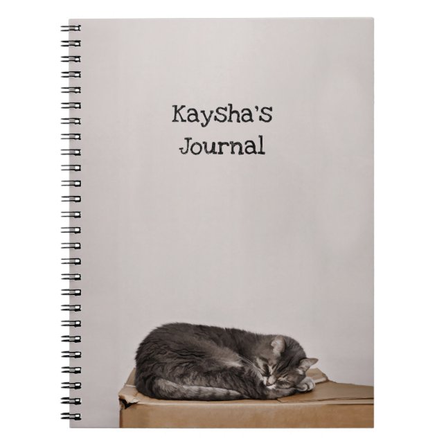 Grey Tabby Cat Sleeping On Box Notebook (Front)