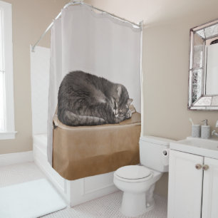 Grey Tabby Cat Sleeping On Box Shower Curtain