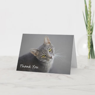 Grey Tabby Cat Thank You Card by Focus for a Cause