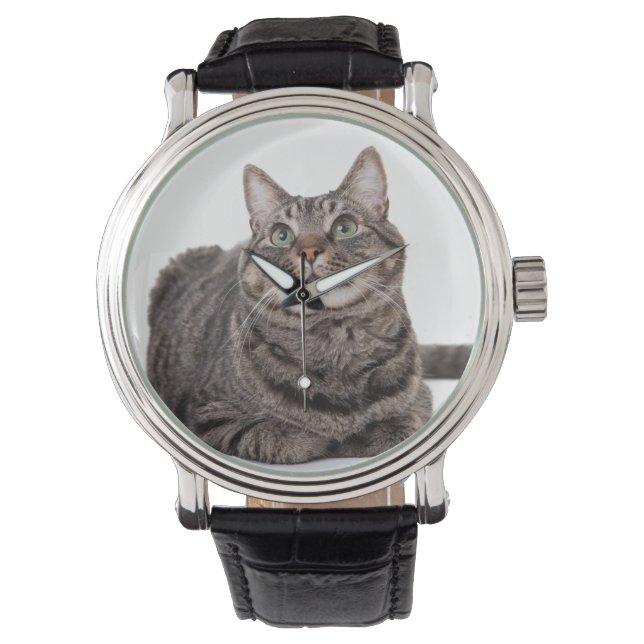 Grey Tabby Cat Watch (Front)