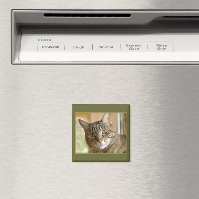 Grey Tabby Close Up Photograph Magnet (In Situ (Dishwasher))