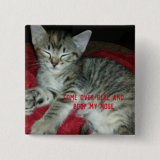 Grey tabby kitten boop my nose 15 cm square badge