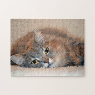 Grey, Tan, White Long-Haired Cat by Shirley Taylor Jigsaw Puzzle