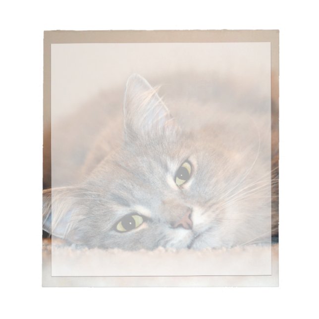 Grey, Tan, White Long-Haired Cat by Shirley Taylor Notepad (Front)