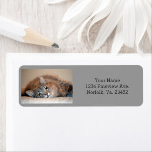 Grey, Tan, White Long-Haired Cat by Shirley Taylor Return Address Label
