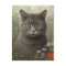 Grey Tom Cat In A Flower Garden Postcard