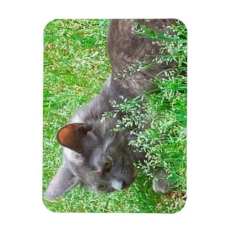 Grey Tortie Cat Magnet