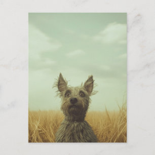 Grey Toto in a Wheat Field Postcard