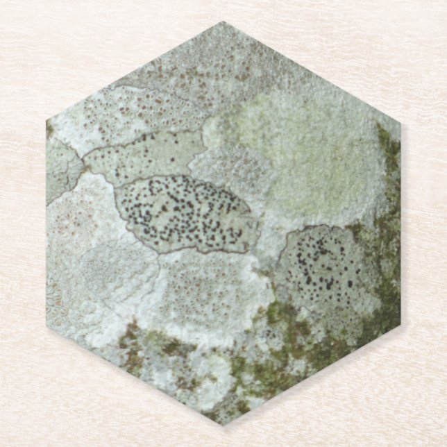 Grey tree bark pattern paper coaster (Front)
