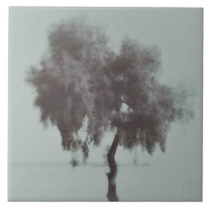 Grey Tree Sketch Ceramic Tile