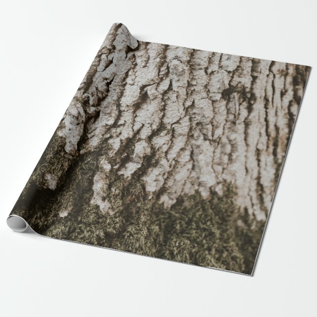 Grey tree trunk wrapping paper (Unrolled)