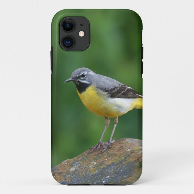 Grey Wagtail - bird Case-Mate iPhone Case (Back)