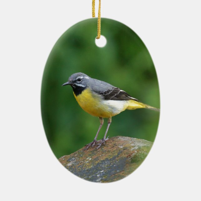 Grey Wagtail - bird Ceramic Ornament (Back)