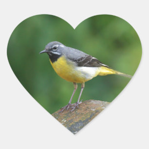Grey Wagtail - bird Heart Sticker
