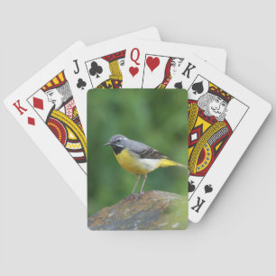 Grey Wagtail - bird Playing Cards