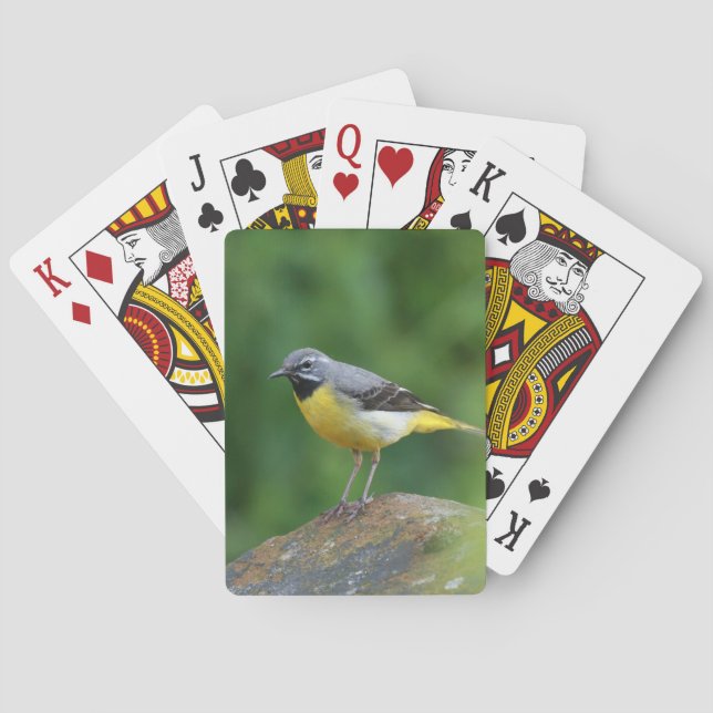 Grey Wagtail - bird Playing Cards (Back)