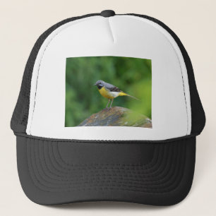 Grey Wagtail - bird Trucker Hat