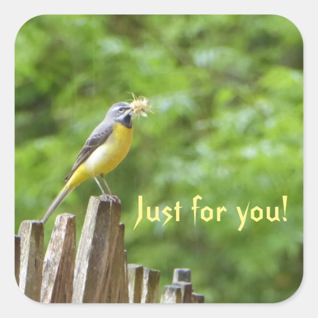 Grey Wagtail Square Sticker (Front)