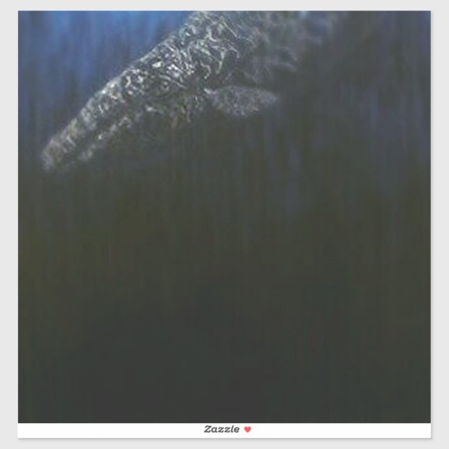 Grey wale #1 (Sheet)