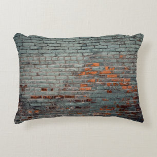 Grey wall paint decorative cushion