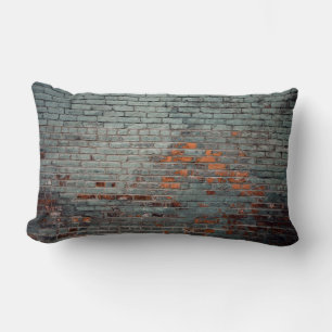 Grey wall paint lumbar cushion