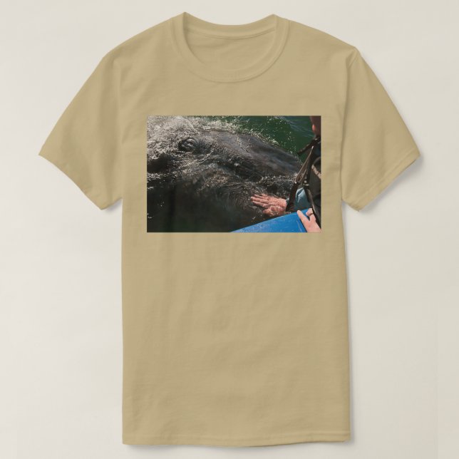 Grey Whale Calf T-Shirt (Design Front)