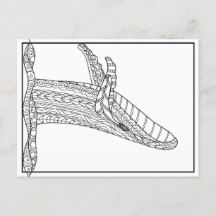 Grey Whale Postcard