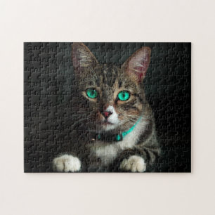 Grey & White Cat with Blue Eyes & Matching Collar Jigsaw Puzzle